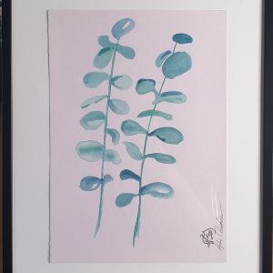 Eucalyptus