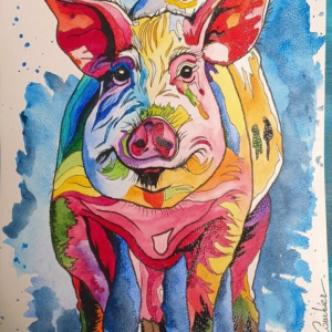 Psyché Pig