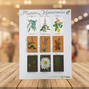 Plantes médicinales III-1