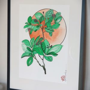 Illustration botanique du boldo en technique mixte – œuvre originale pour livre d’aromathérapie