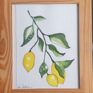 Illustration botanique de citron (Citrus) – œuvre originale pour livre aromathérapie