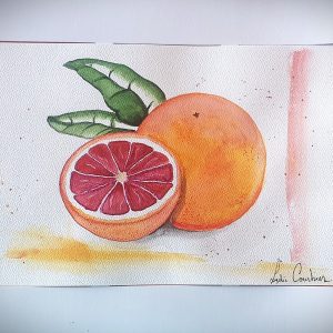 Illustration botanique de pamplemousse – œuvre originale pleine de fraîcheur et de lumière