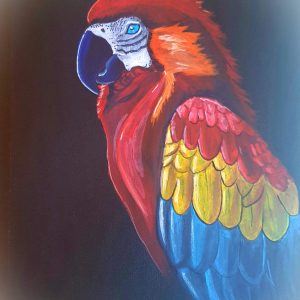 aquarelle oiseau ara couleurs vives