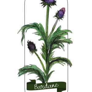 Reproduction numérique A4 de l’illustration bardane