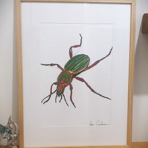 Illustration originale “Carabe” – coléoptère carabidé dessiné à la main, symbolique et élégant. Décorez votre intérieur avec finesse et nature.